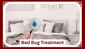 Bed Bug Treatment